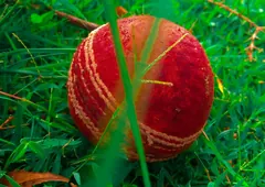 Red leather cricket ball